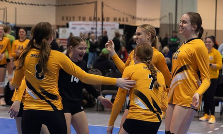 Volleyball Positions: Build Your Team