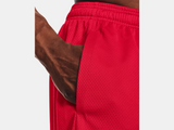 Men's UA Tech Mesh Shorts red 5