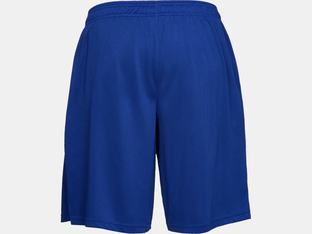 Men's UA Tech Mesh Shorts royal