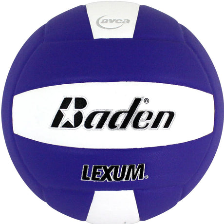 Baden Lexum VX450 Microfiber Volleyball