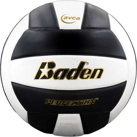 Baden Perfection VX5E Volleyball