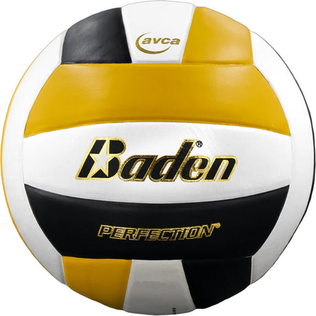 Baden Perfection VX5E Volleyball