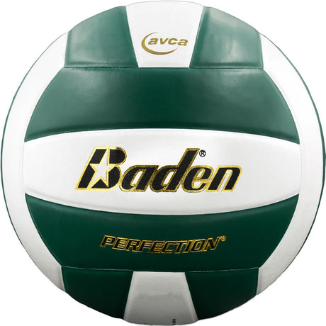 Baden Perfection VX5E Volleyball