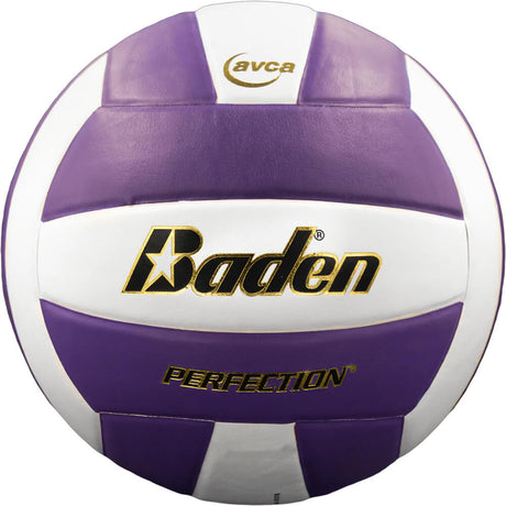 Baden Perfection VX5E Volleyball