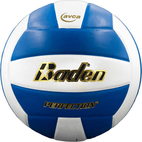 Baden Perfection VX5E Volleyball