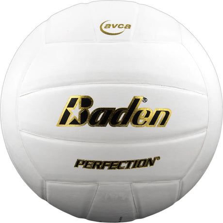 Baden Perfection VX5E Volleyball