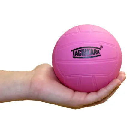 Mini Pink Volleyball Tachikara